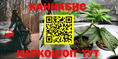 молекула духа Шебекино