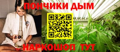 молекула духа Шебекино