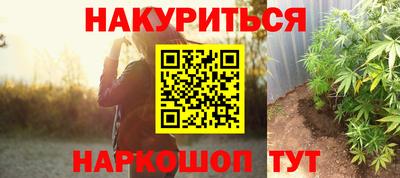 молекула духа Шебекино