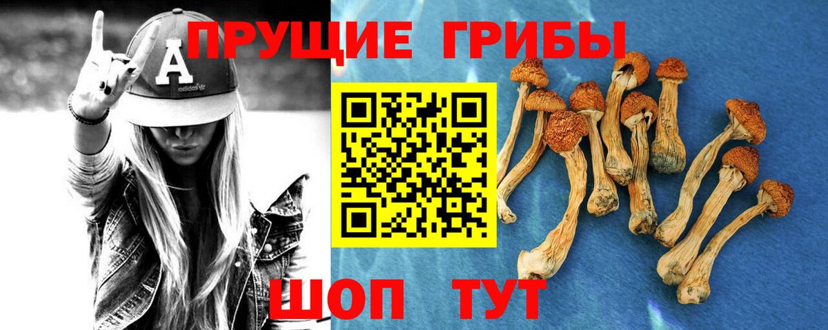 Псилоцибиновые грибы Батайск